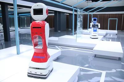 工業(yè)機(jī)器人迎來(lái)“阜陽(yáng)造”新紀(jì)元 正式投產(chǎn)引領(lǐng)智能機(jī)器人研發(fā)新浪潮